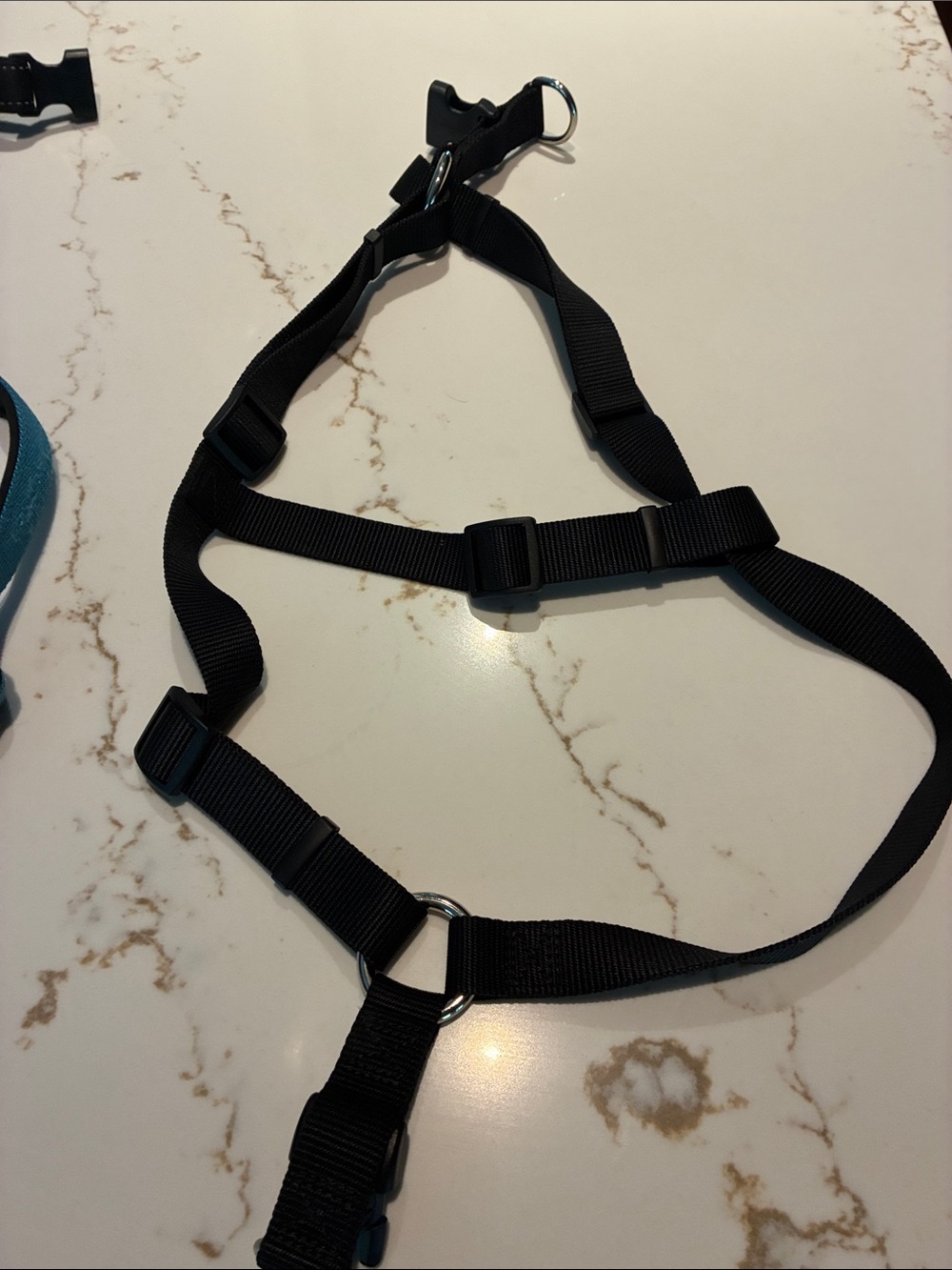 Dog harness 2